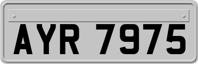 AYR7975