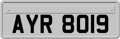 AYR8019