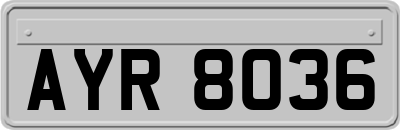 AYR8036