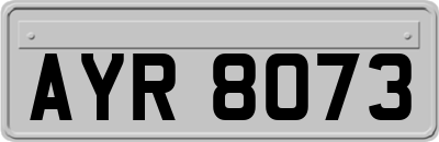 AYR8073
