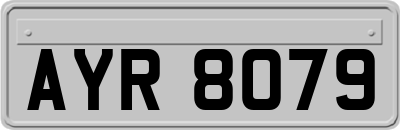 AYR8079
