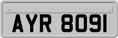AYR8091