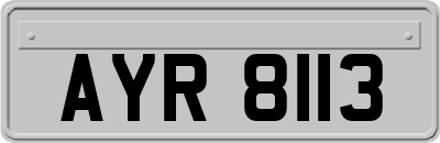 AYR8113