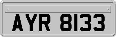 AYR8133