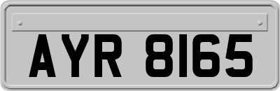 AYR8165