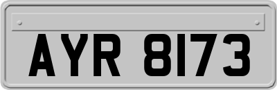 AYR8173