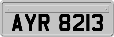 AYR8213