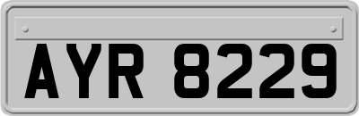 AYR8229