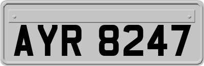 AYR8247