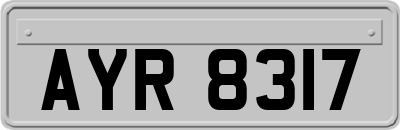 AYR8317