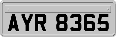 AYR8365