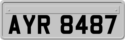 AYR8487