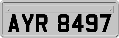 AYR8497