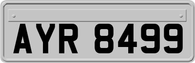 AYR8499