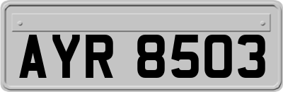 AYR8503