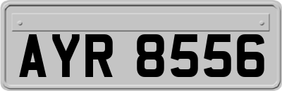 AYR8556
