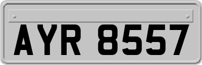 AYR8557