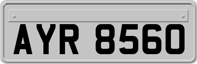 AYR8560