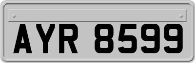 AYR8599