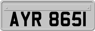 AYR8651