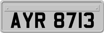 AYR8713