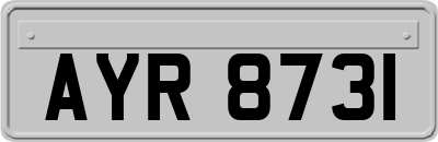 AYR8731