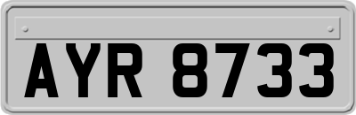 AYR8733