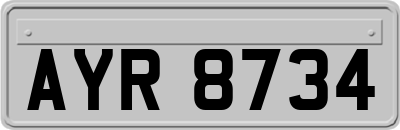 AYR8734
