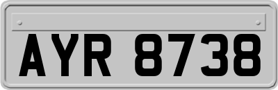 AYR8738