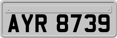AYR8739
