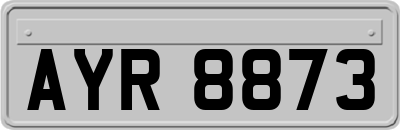 AYR8873