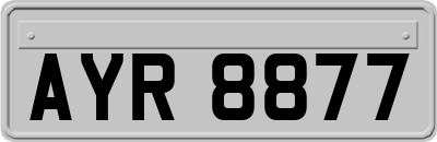 AYR8877