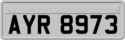 AYR8973