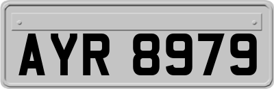 AYR8979