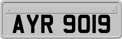 AYR9019
