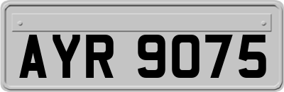 AYR9075