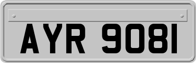 AYR9081