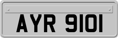 AYR9101