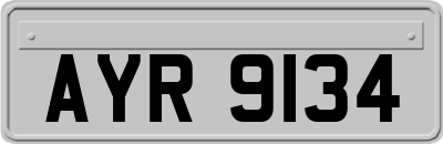 AYR9134
