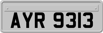 AYR9313