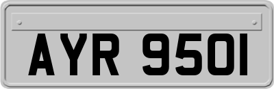 AYR9501