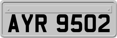 AYR9502