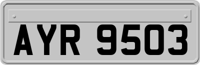 AYR9503