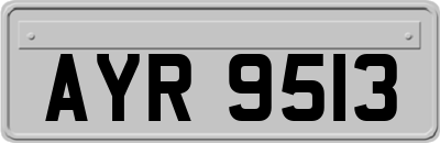AYR9513