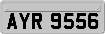 AYR9556