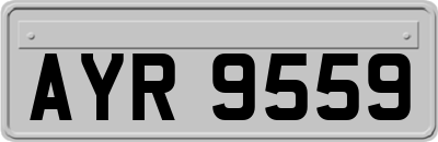 AYR9559