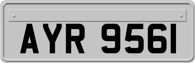 AYR9561