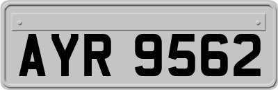 AYR9562