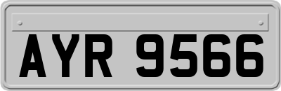 AYR9566