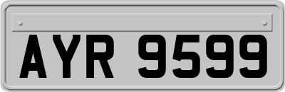 AYR9599